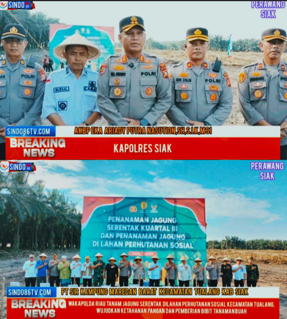 Wakapolda Riau Tanam jagung serentak di lahan perhutanan sosial kecamatan Tualang,wujudkan ketahanan pangan dan pemberian Bibit Tanaman Buah.