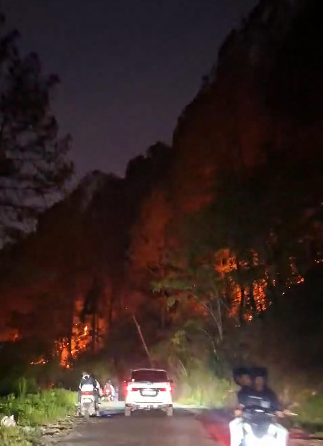 Hutan lindung di talang babungo kecamatan hiliran Gumanti kabupaten Solok Sumbar terbakar