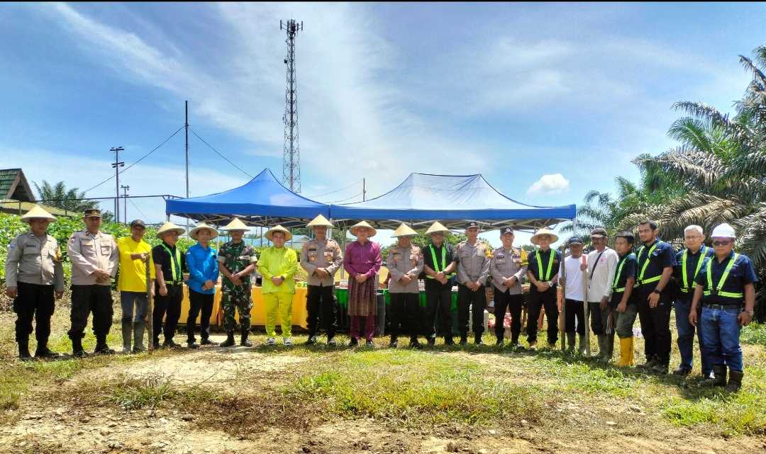 Upika Tualang gelar penanaman jagung serentak dukung program swasembada pangan Nasional